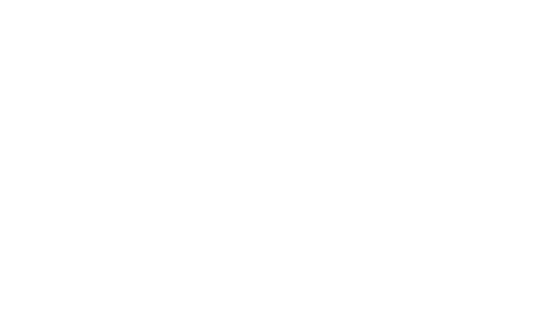 wir-logo-invers WIR!